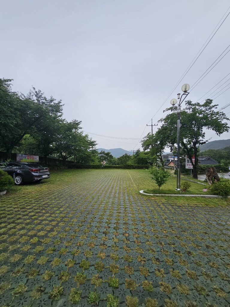 Large grass-block parking lot at Janggun Sikdang with trees and parked cars.