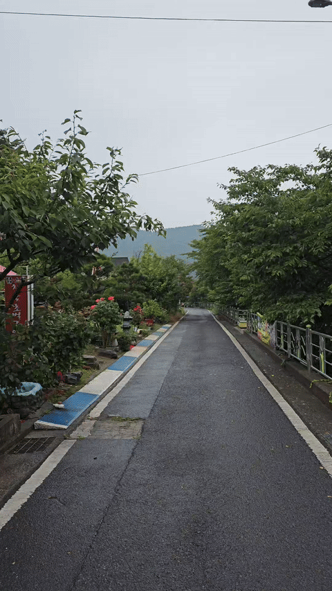 Rainy walking path from the parking lot to Janggun Sikdang with flowers and greenery.