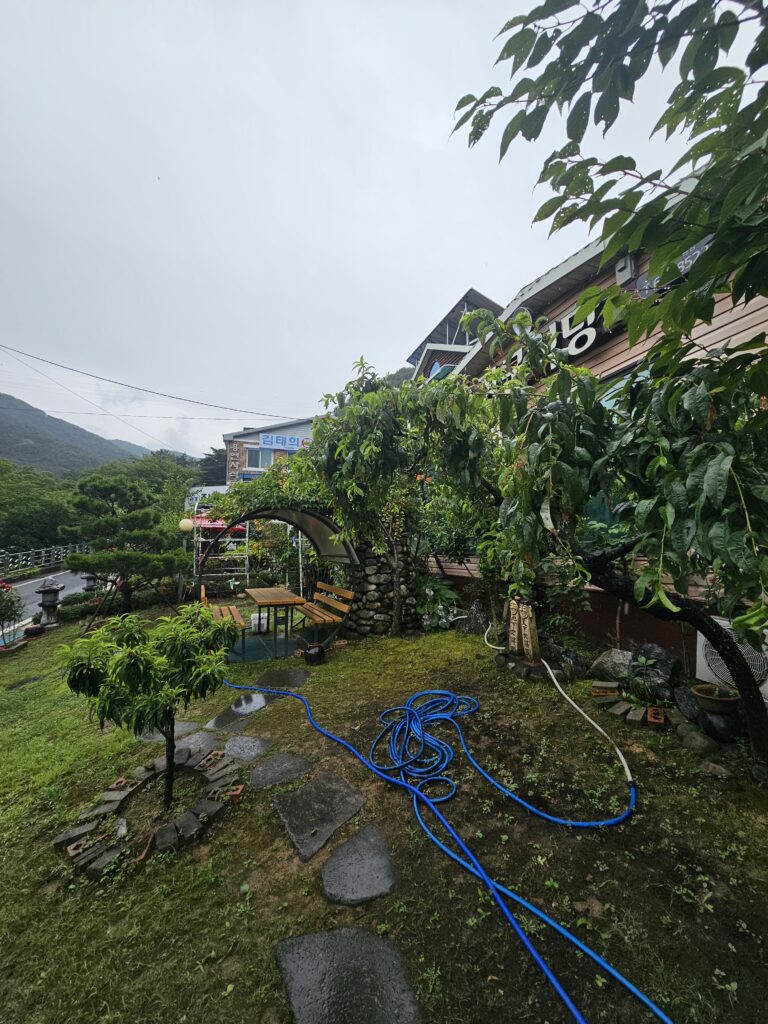 Side garden at Janggun Sikdang with trees, stepping stones, bench, and blue garden hose.