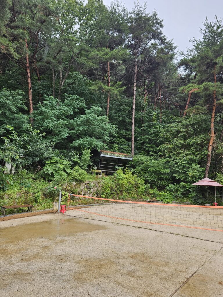 Jokgu net, wet ground, bench, shade umbrella, and trees beside the court.
