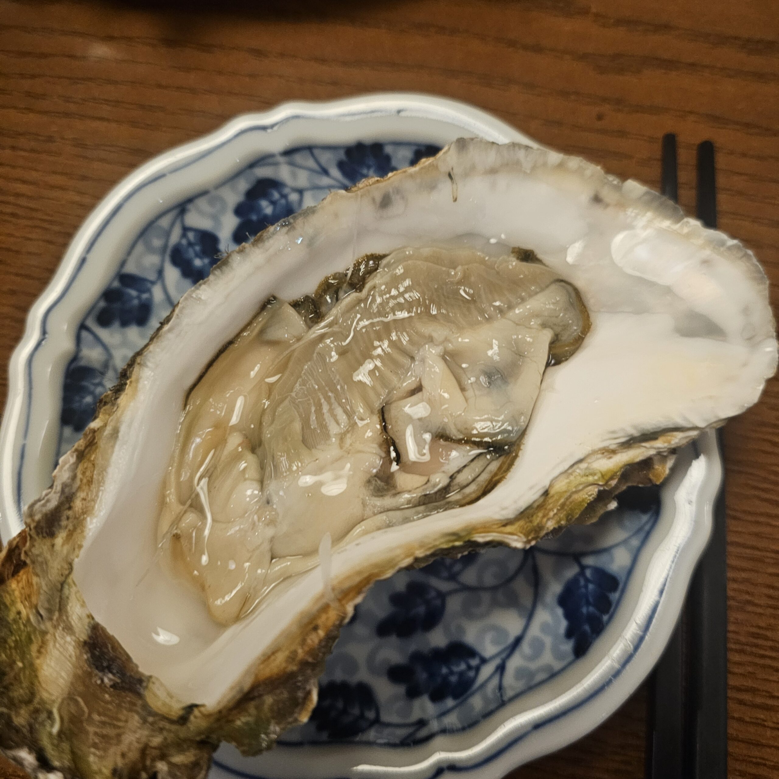 半殻いっぱいに収まった、ふっくらとした生牡蠣