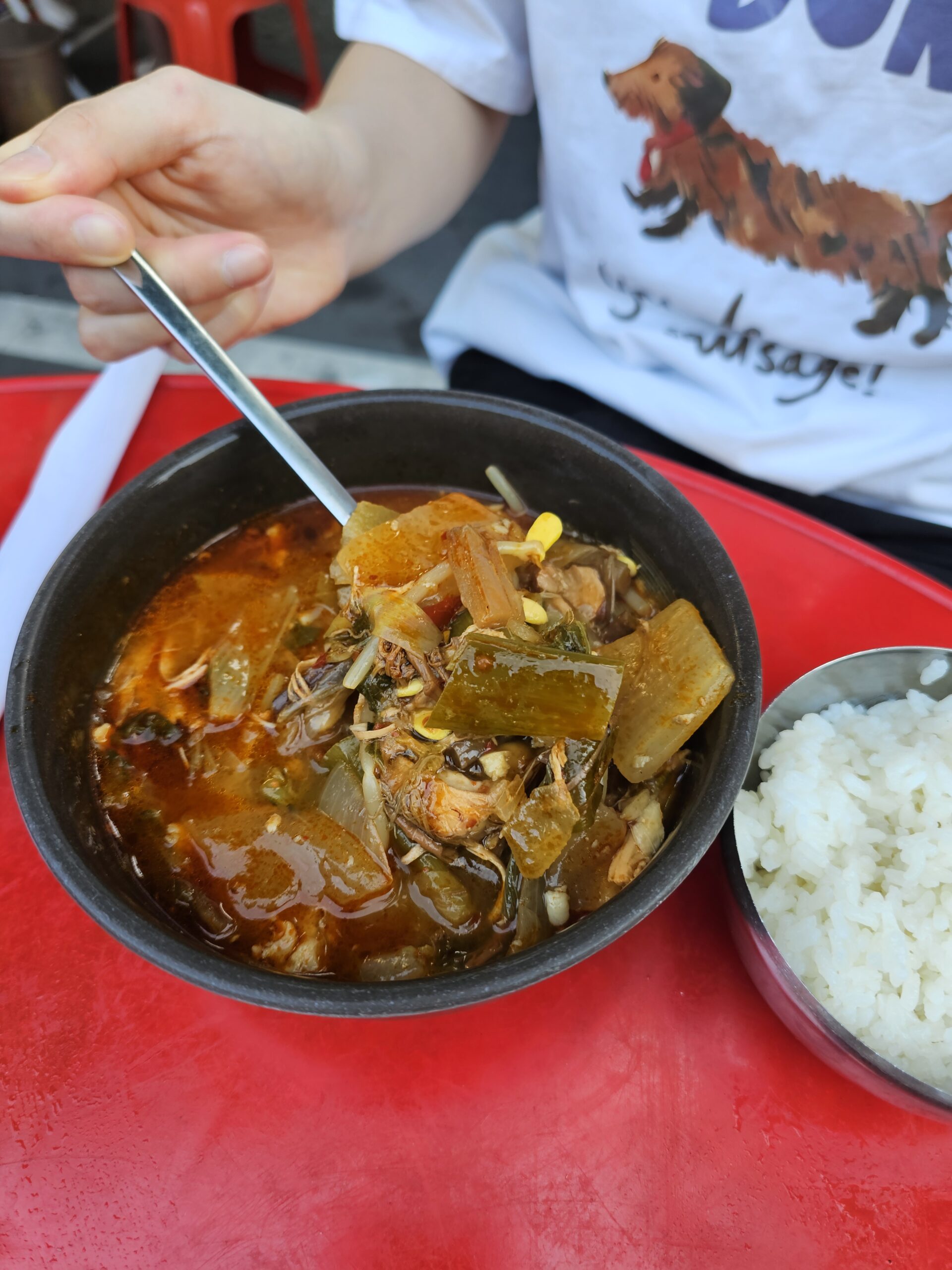 Spoonful of dakgaejang with chunks of radish and chicken