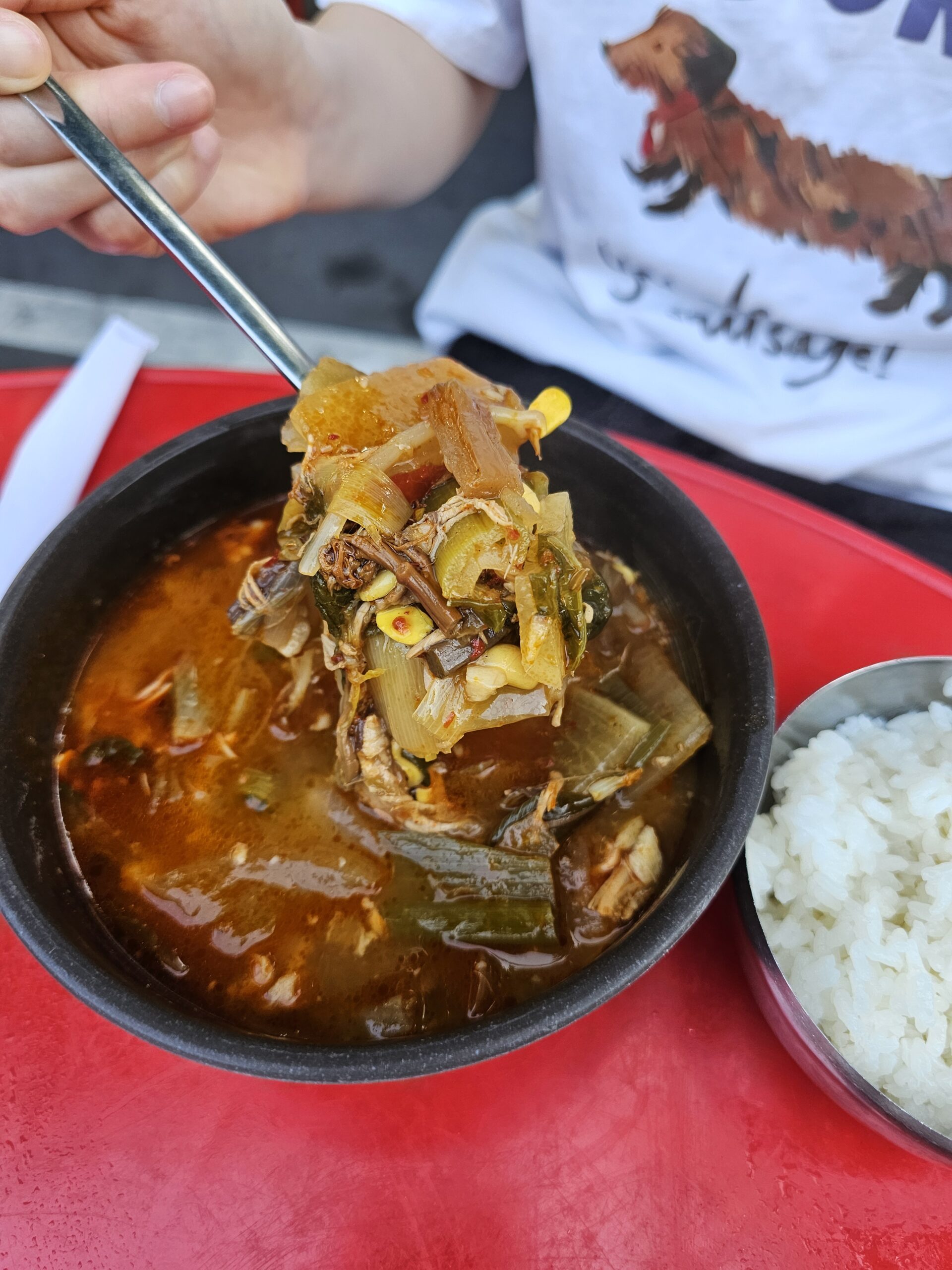 Large spoonful of dakgaejang with green onion and bracken beside a bowl of rice