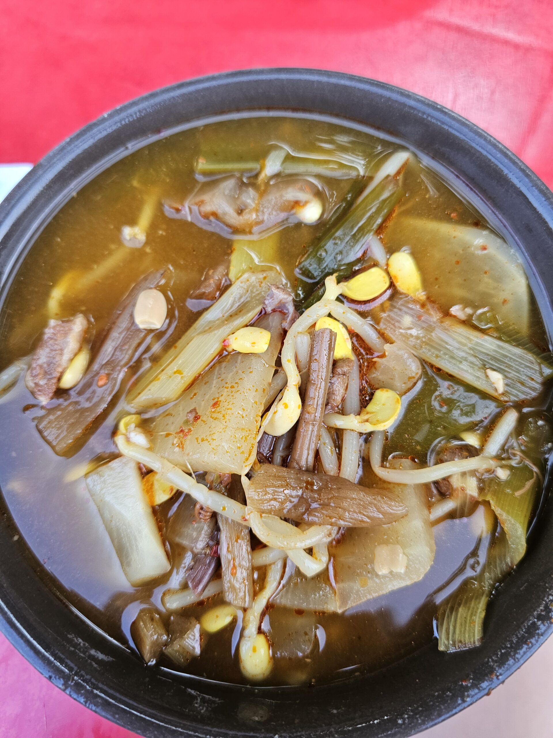 Beef soup in an earthenware pot with beef, chunks of radish, bean sprouts and green onion